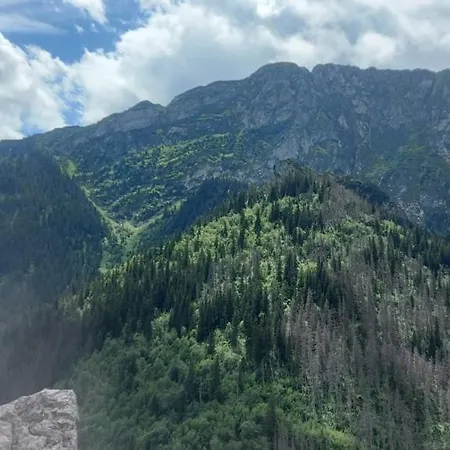 Hajnowka Zakopane