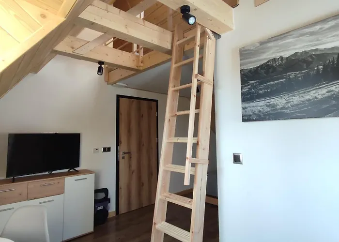 Hajnowka 公寓 扎科帕内